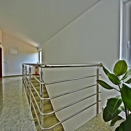 Ivana Sveti Filip i Jakov