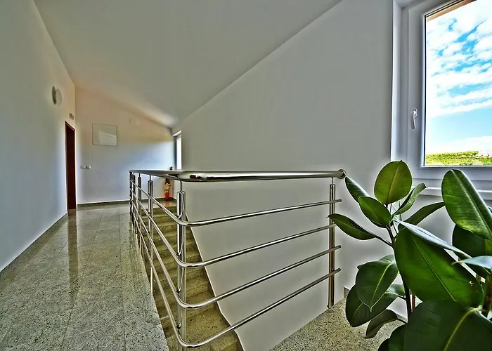 Ivana 스베티필립아이자코브